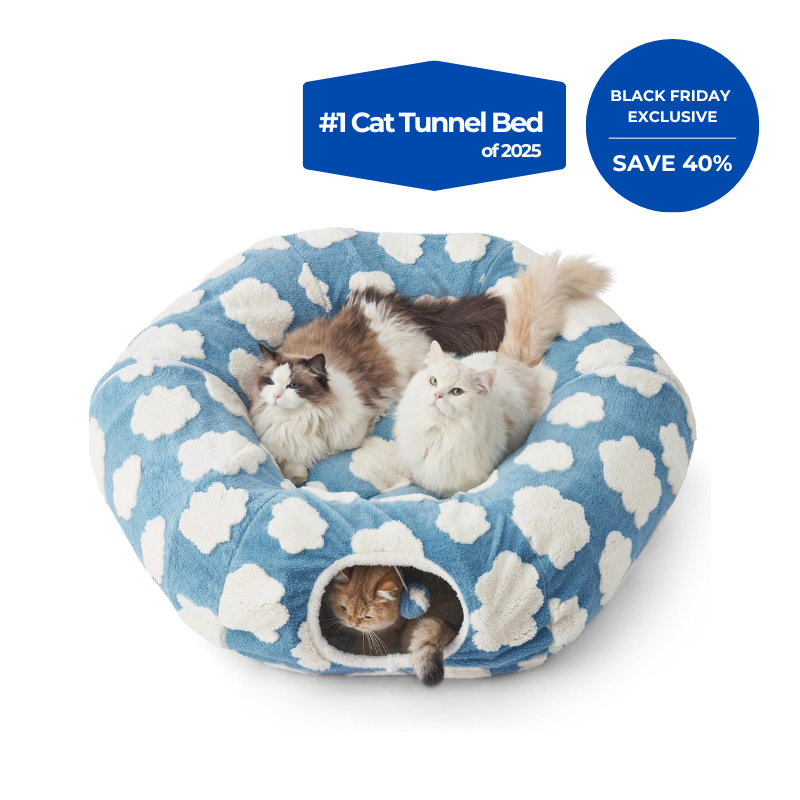 3-in-1 Cat Tunnel Bed
