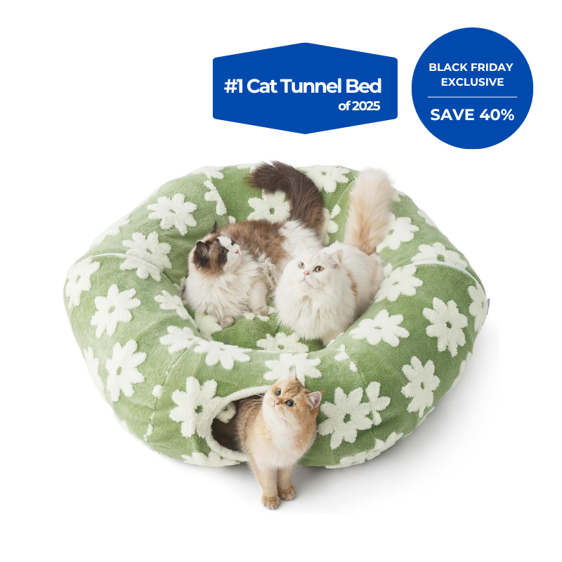 3-in-1 Cat Tunnel Bed